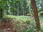 Land For Sale In Matale madawala ulpatha