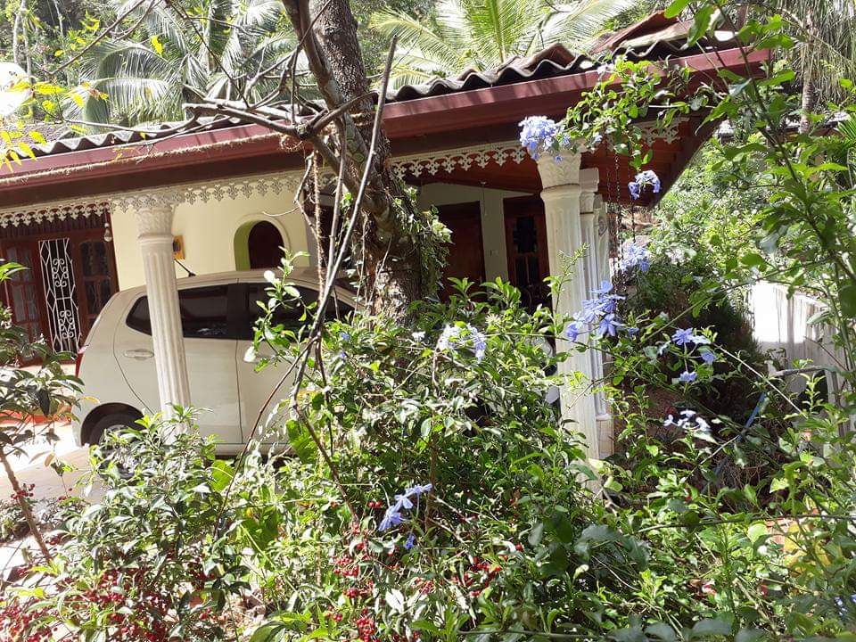 House with Tea Land Kalupahana