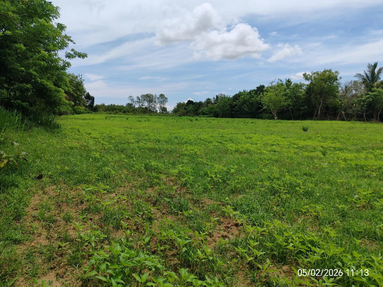 ඉඩමක් විකිණිමට – ඇඹිලිපිටිය