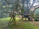 House with Land for Sale in Anuradhapura