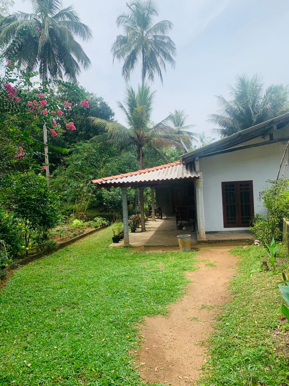 නිවසක් සමග අක්කරයක ඉඩමක් විකිණීමට මහියංගනය