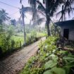 අංගම්පිටිය භූමියක් විකිණීමට