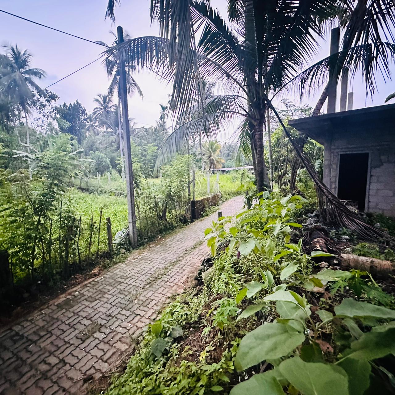 අංගම්පිටිය භූමියක් විකිණීමට