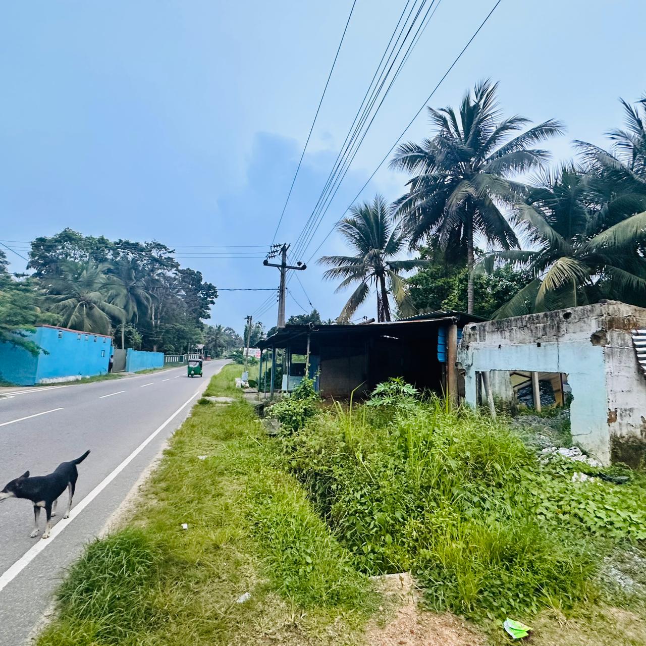 අංගම්පිටිය භූමියක් විකිණීමට