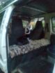 Toyota Townace 1986