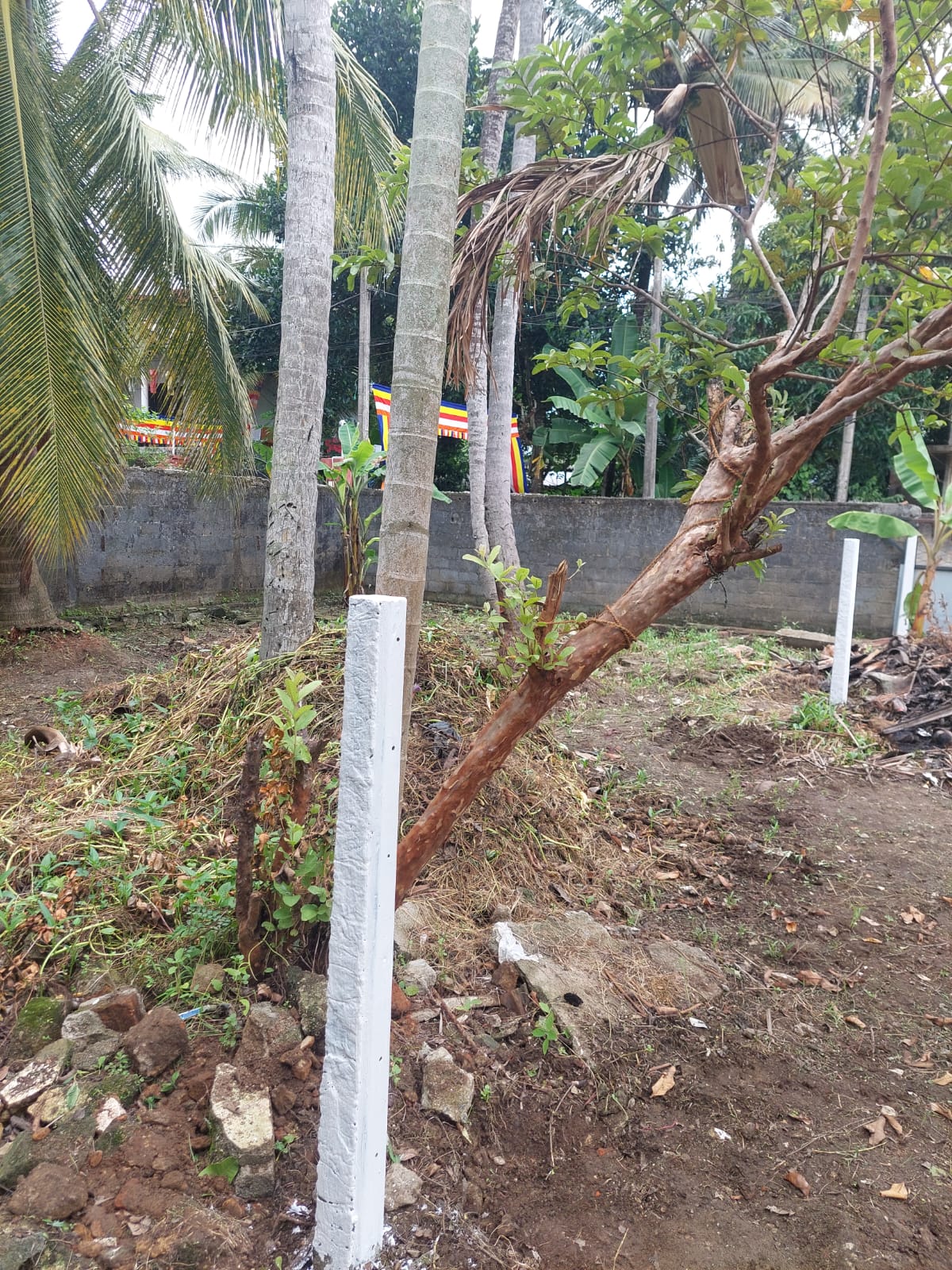 Land for Sale in Wellampitiya