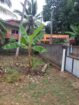 Land for Sale in Wellampitiya