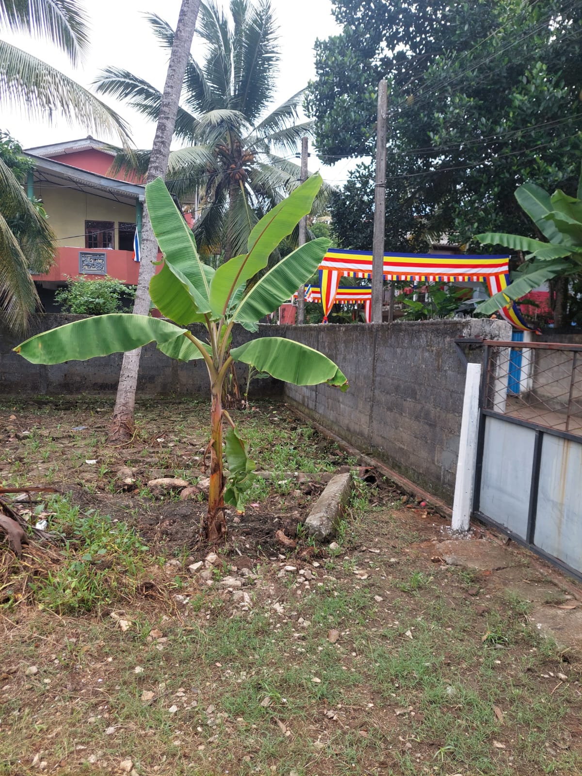 Land for Sale in Wellampitiya