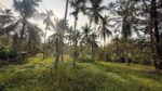 Land for Sale in Radawana