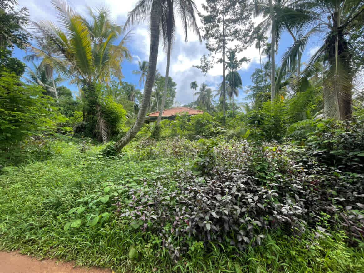 Land For Sale In Dompe