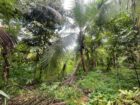 Land For Sale In Dompe