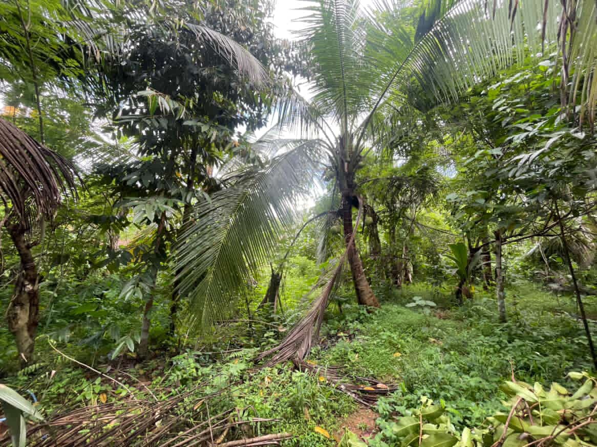 Land For Sale In Dompe
