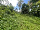 Land For Sale In Dompe
