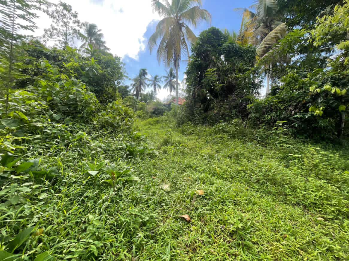 Land For Sale In Dompe