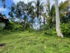 Land For Sale In Dompe