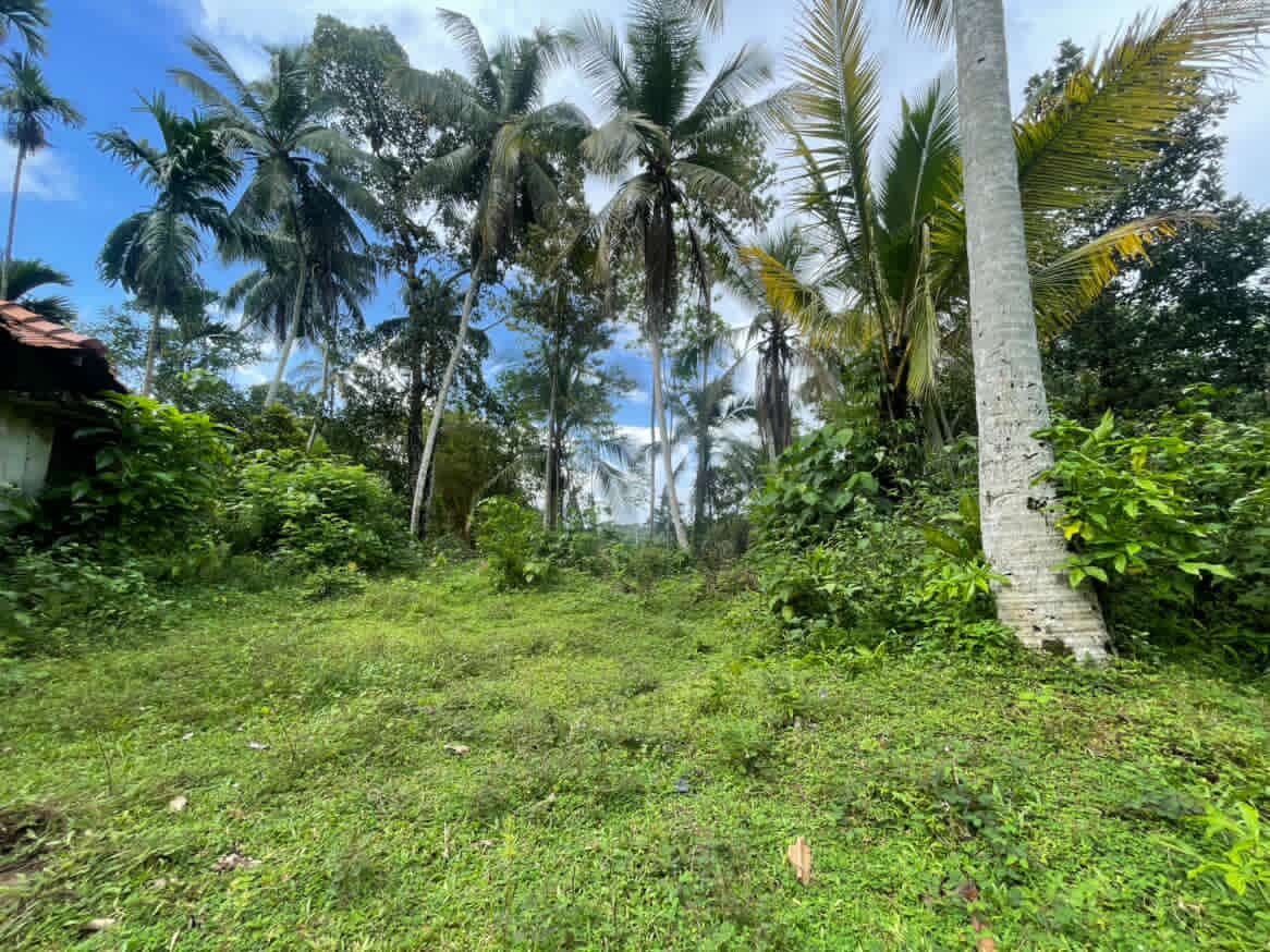 Land For Sale In Dompe
