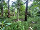Land For Sale In Dompe