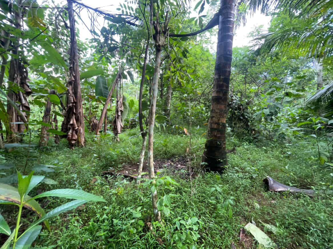 Land For Sale In Dompe
