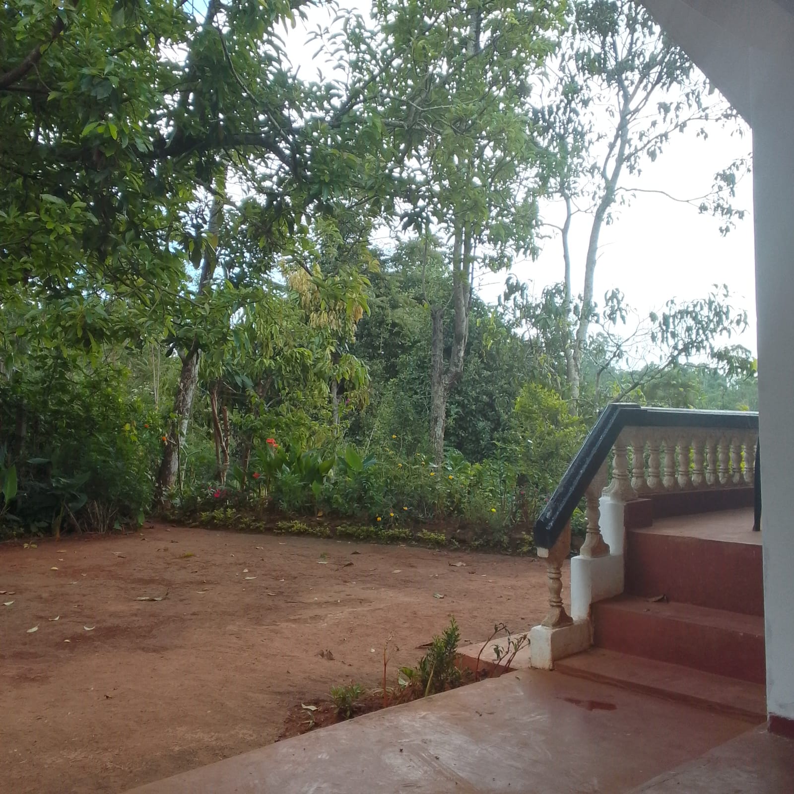 Land for Sale Pelliwinna