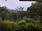 Land for Sale Pelliwinna