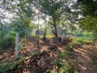 Land For Sale In Piliyandala