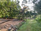 Land For Sale In Piliyandala