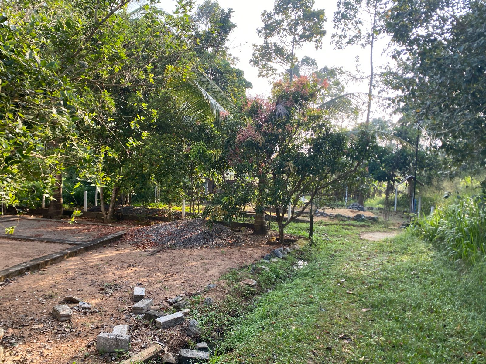 Land For Sale In Piliyandala