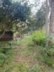 Land For Sale In Piliyandala
