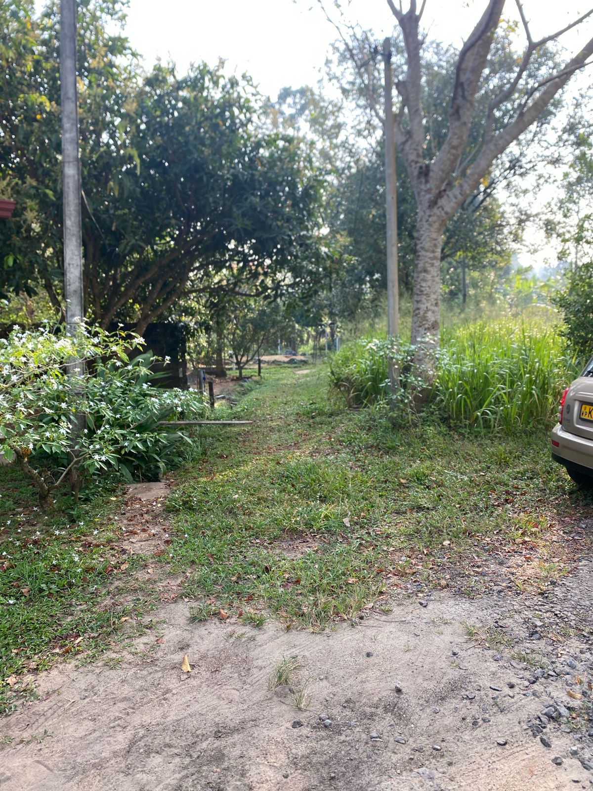 Land For Sale In Piliyandala