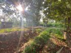 Land For Sale In Piliyandala