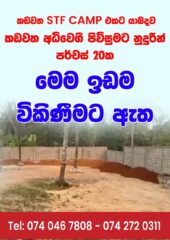 WhatsApp-Image-2026-05-22-at-11.42.42-AM-1