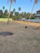 විකිණීමට ඇත: සින්නක්කර ඉඩම – මාරවිල