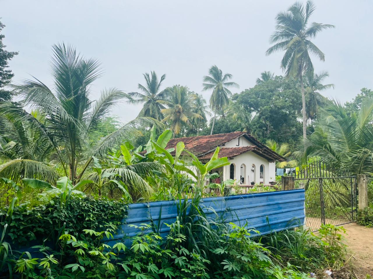 නිවසක් සහිත පොල් ඉඩම විකිණීමට පඩිකාරමඩුව
