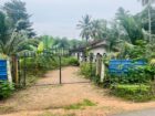 නිවසක් සහිත පොල් ඉඩම විකිණීමට පඩිකාරමඩුව