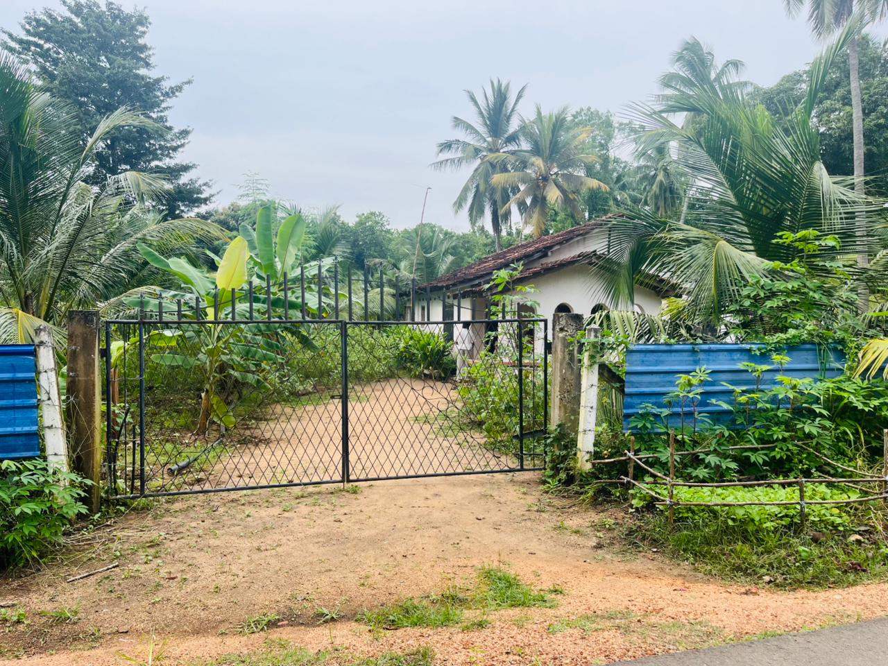 නිවසක් සහිත පොල් ඉඩම විකිණීමට පඩිකාරමඩුව