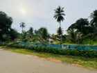 නිවසක් සහිත පොල් ඉඩම විකිණීමට පඩිකාරමඩුව