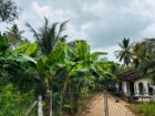 නිවසක් සහිත පොල් ඉඩම විකිණීමට පඩිකාරමඩුව