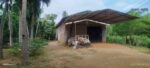 Rice Mill Tissamaharama