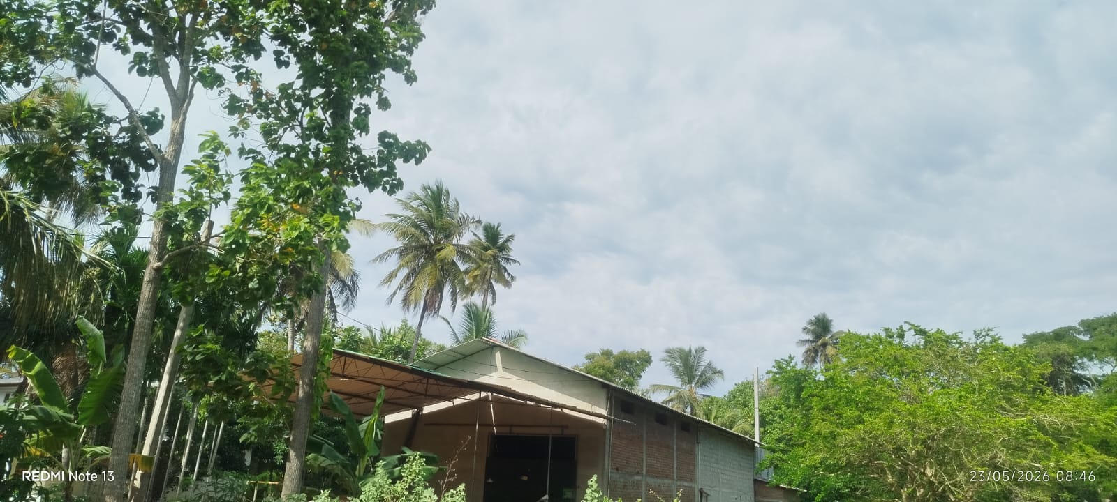Rice Mill Tissamaharama