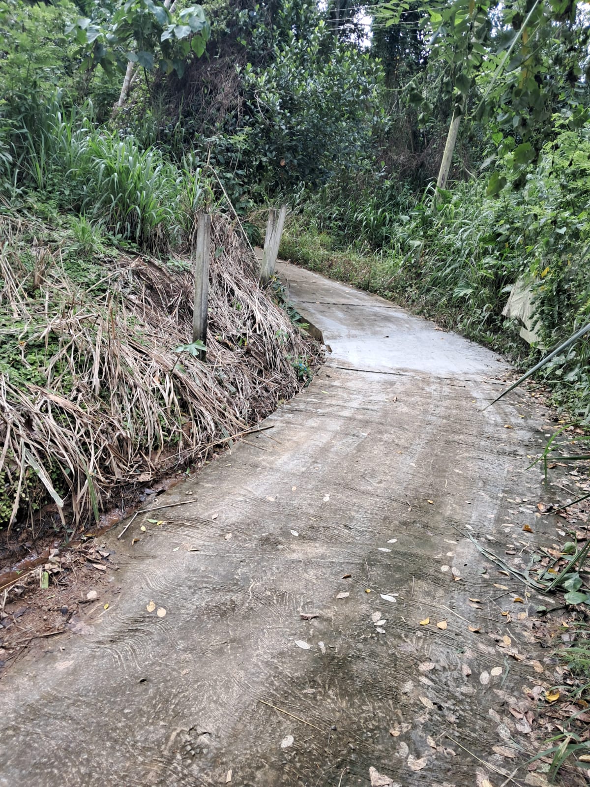 බලන්ගොඩ ඇල්ලේපොල පර්චස් 50 ක ඉඩමක් විකිණීමට
