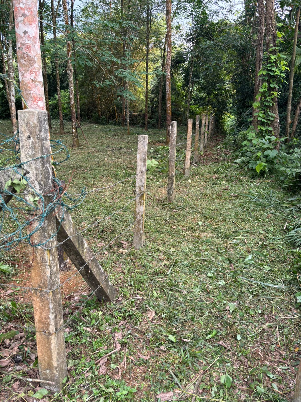 Rubber Land For Sale – Thummodara
