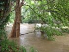 Udawalawa Tourism Zone Land with River