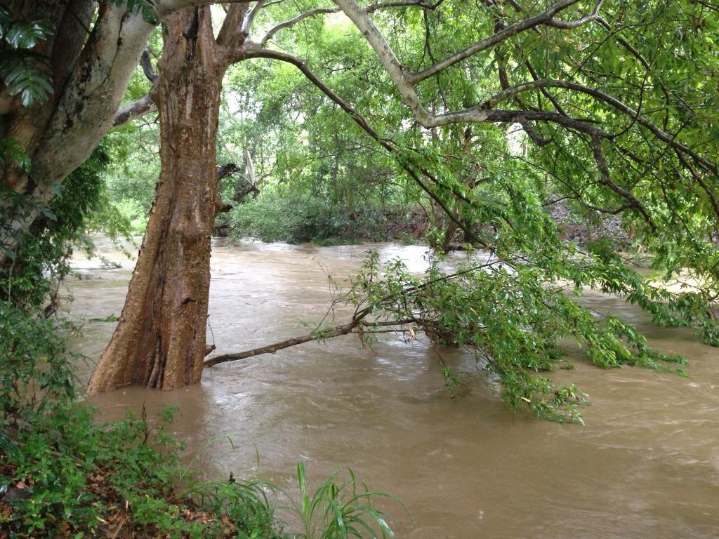 Udawalawa Tourism Zone Land with River