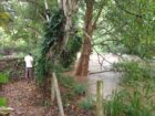 Udawalawa Tourism Zone Land with River