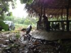 Udawalawa Tourism Zone Land with River