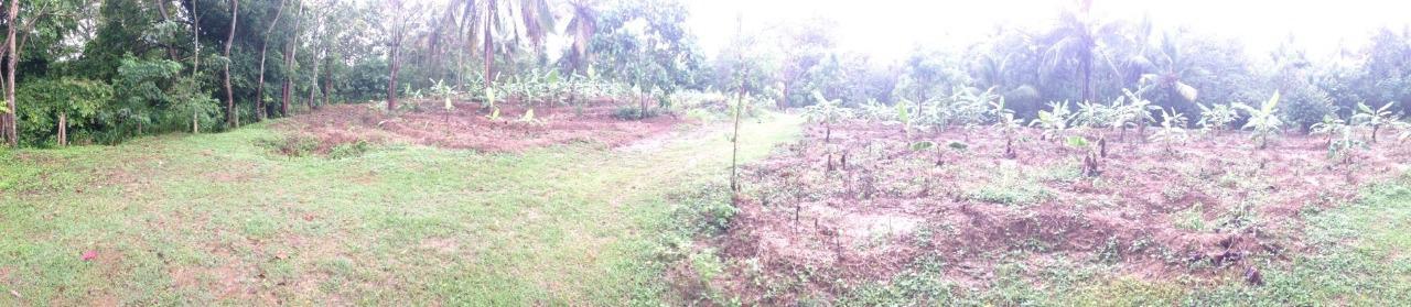 Udawalawa Tourism Zone Land with River