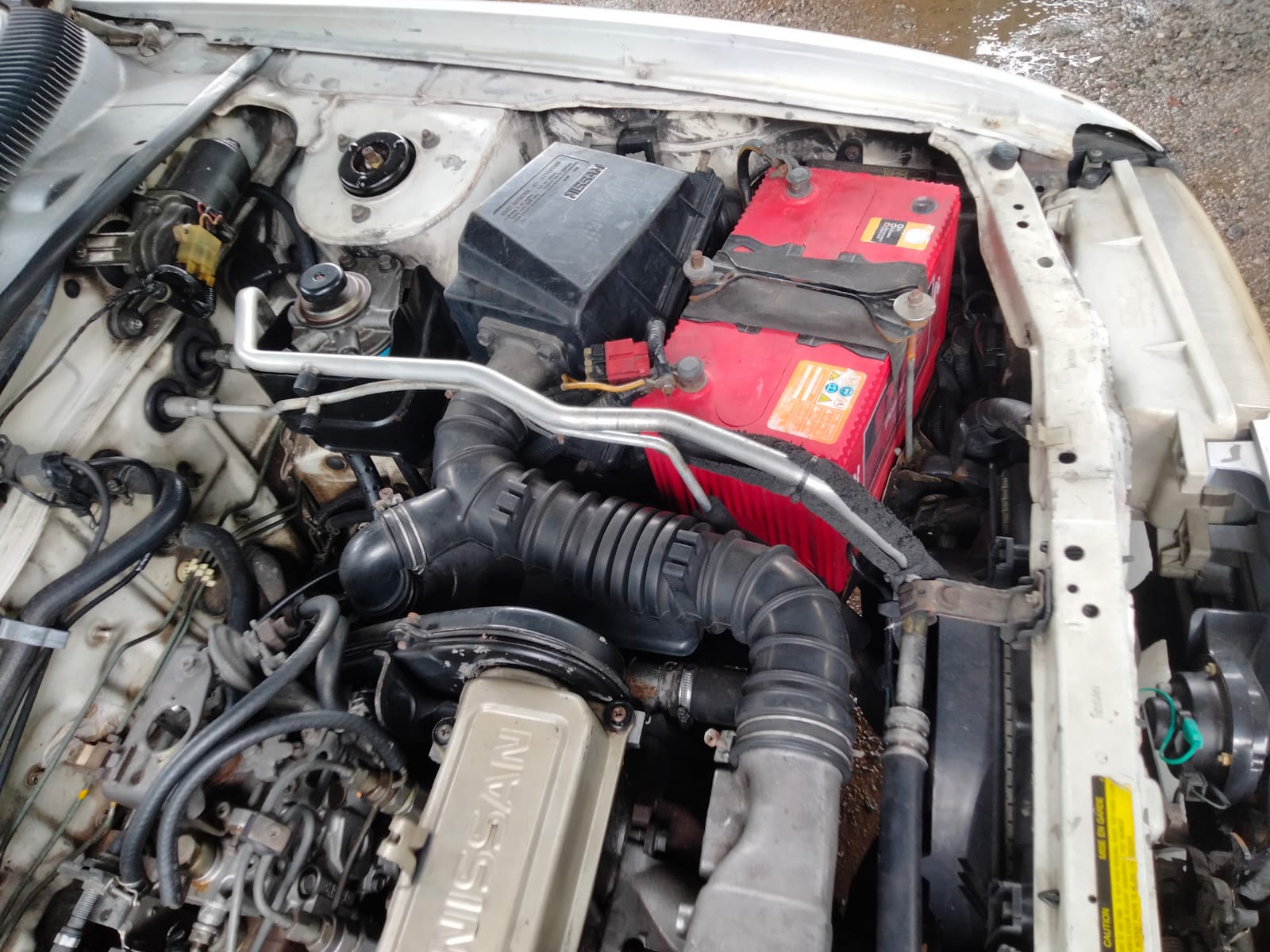 Nissan Sunny 1994