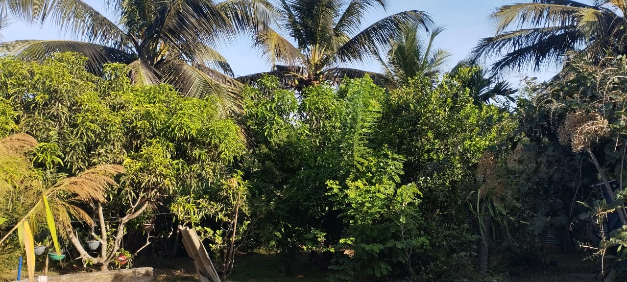 නිවසක් සමඟ ඉඩමක් ත්‍රිකුණාමලය
