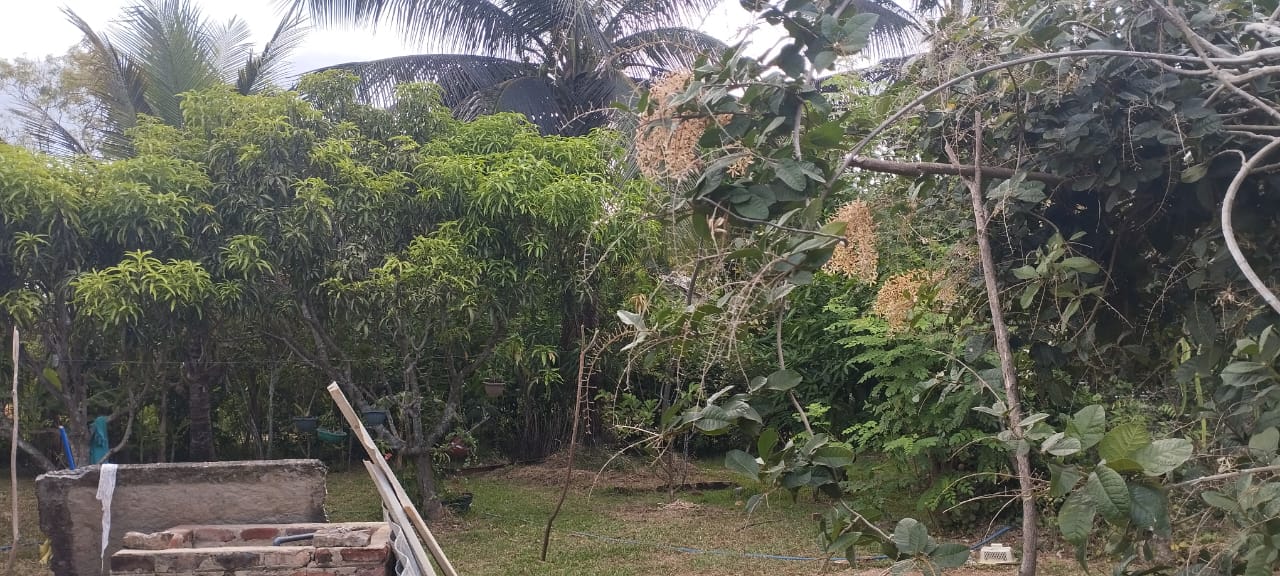 නිවසක් සමඟ ඉඩමක් ත්‍රිකුණාමලය