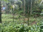 Land For Sale In Kalawana
